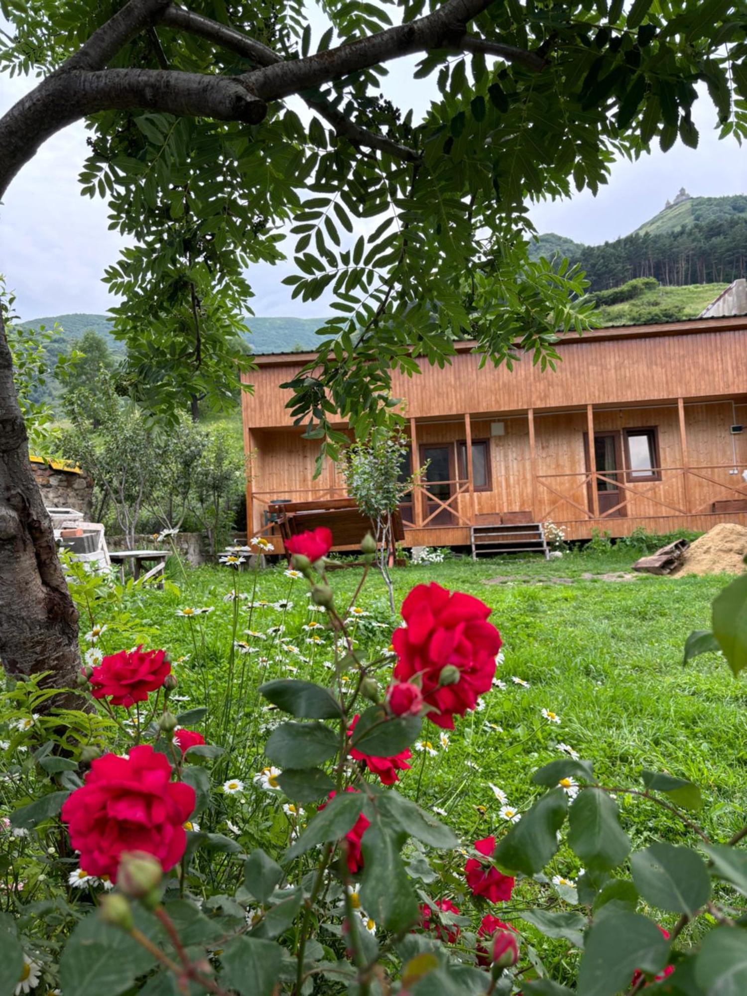 Family Hostel Nika كازباجي المظهر الخارجي الصورة